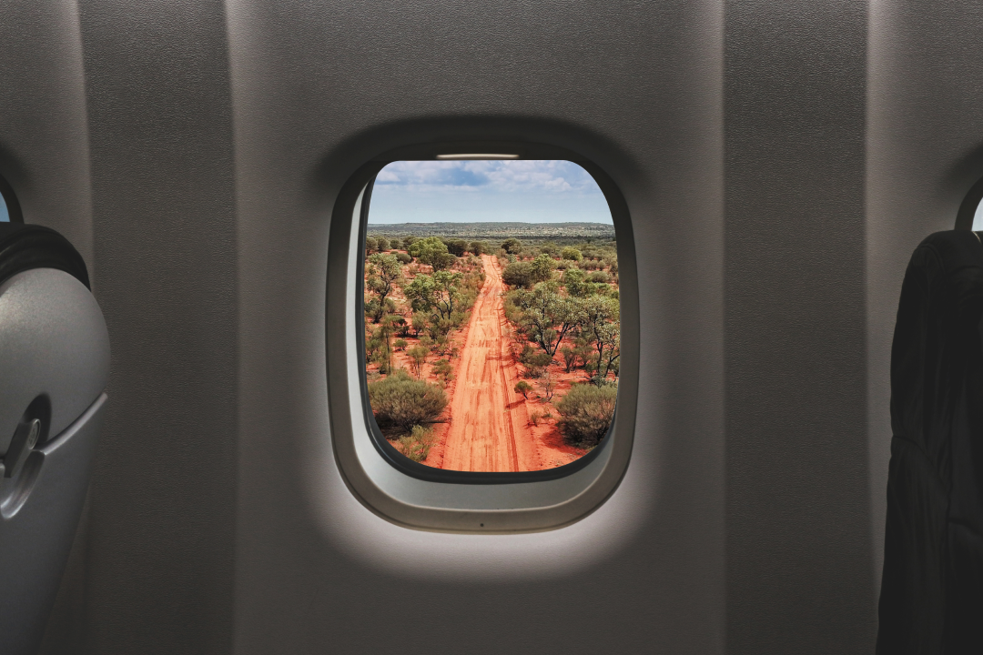 Search Flights