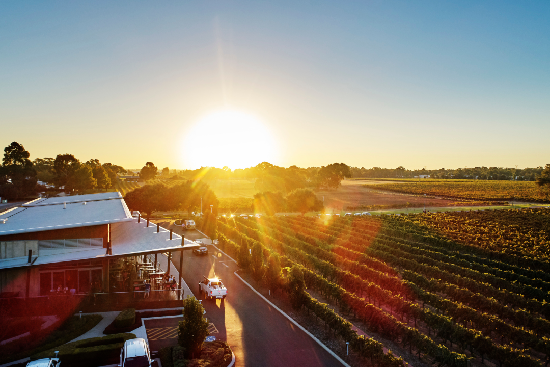 Taste Your Way Around Perth