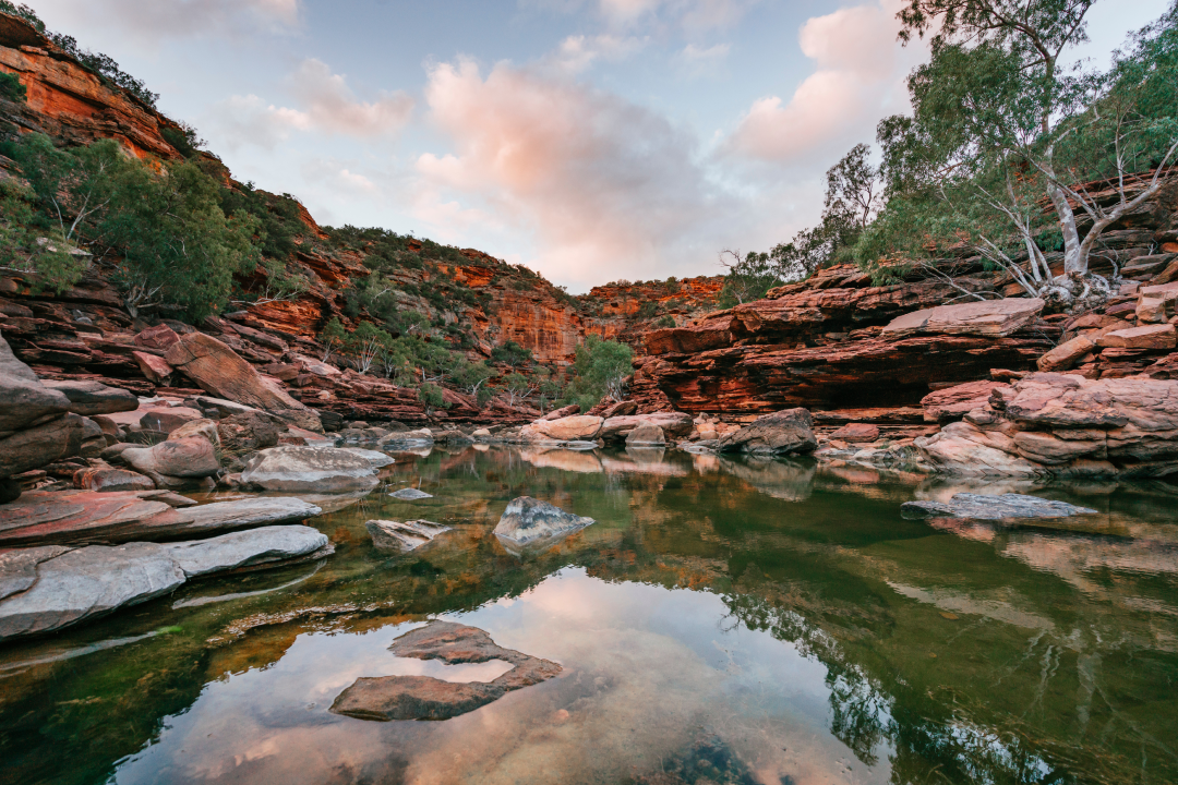 Journey Along Australia’s Coral Coast