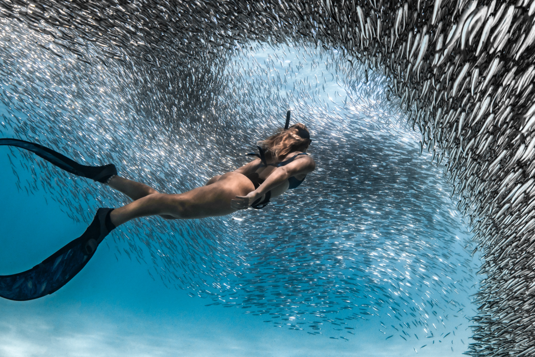 WA Highlights: A Reef to Outback Adventure